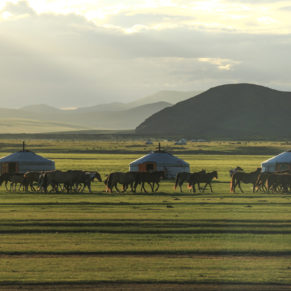Zdjęcie 15 z wyprawy - Mongolia - w krainie szamanów