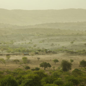Zdjęcie 104 z wyprawy 4x4 - NAMIBIA