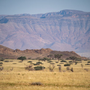 Zdjęcie 12 z wyprawy 4x4 - NAMIBIA