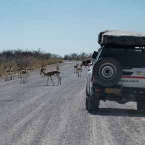 Zdjęcie 147 z wyprawy 4x4 - NAMIBIA