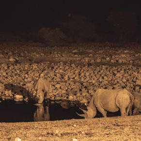 Zdjęcie 174 z wyprawy 4x4 - NAMIBIA