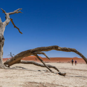 Zdjęcie 42 z wyprawy 4x4 - NAMIBIA