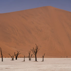 Zdjęcie 45 z wyprawy 4x4 - NAMIBIA