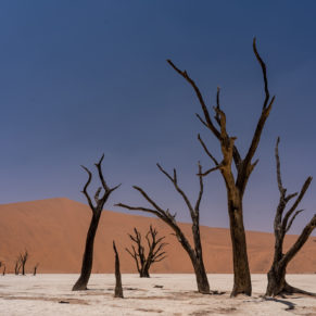 Zdjęcie 46 z wyprawy 4x4 - NAMIBIA