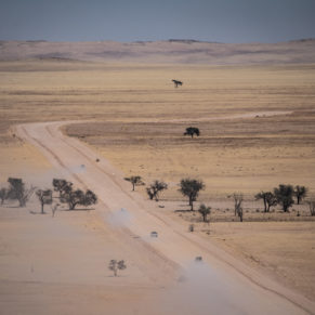 Zdjęcie 53 z wyprawy 4x4 - NAMIBIA