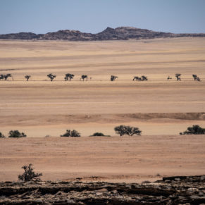 Zdjęcie 54 z wyprawy 4x4 - NAMIBIA