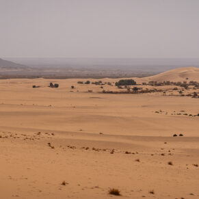 Zdjęcie 84 z wyprawy 4x4 - LIBIA